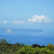 Picture 045